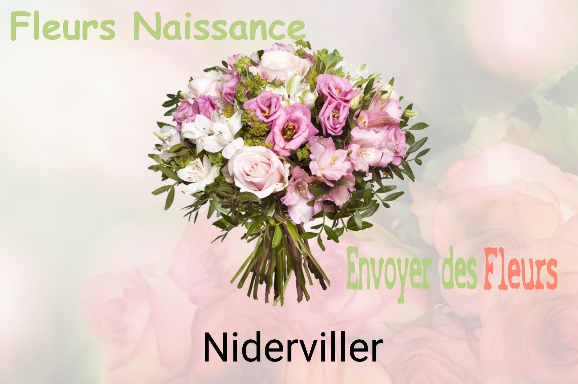 Bouquet de fleurs de naissance livré à Niderviller